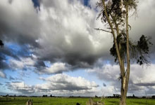 华拉度主场劲战，欲跃升积分榜