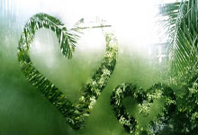 热刺主场大胜，继续稳固前四位置