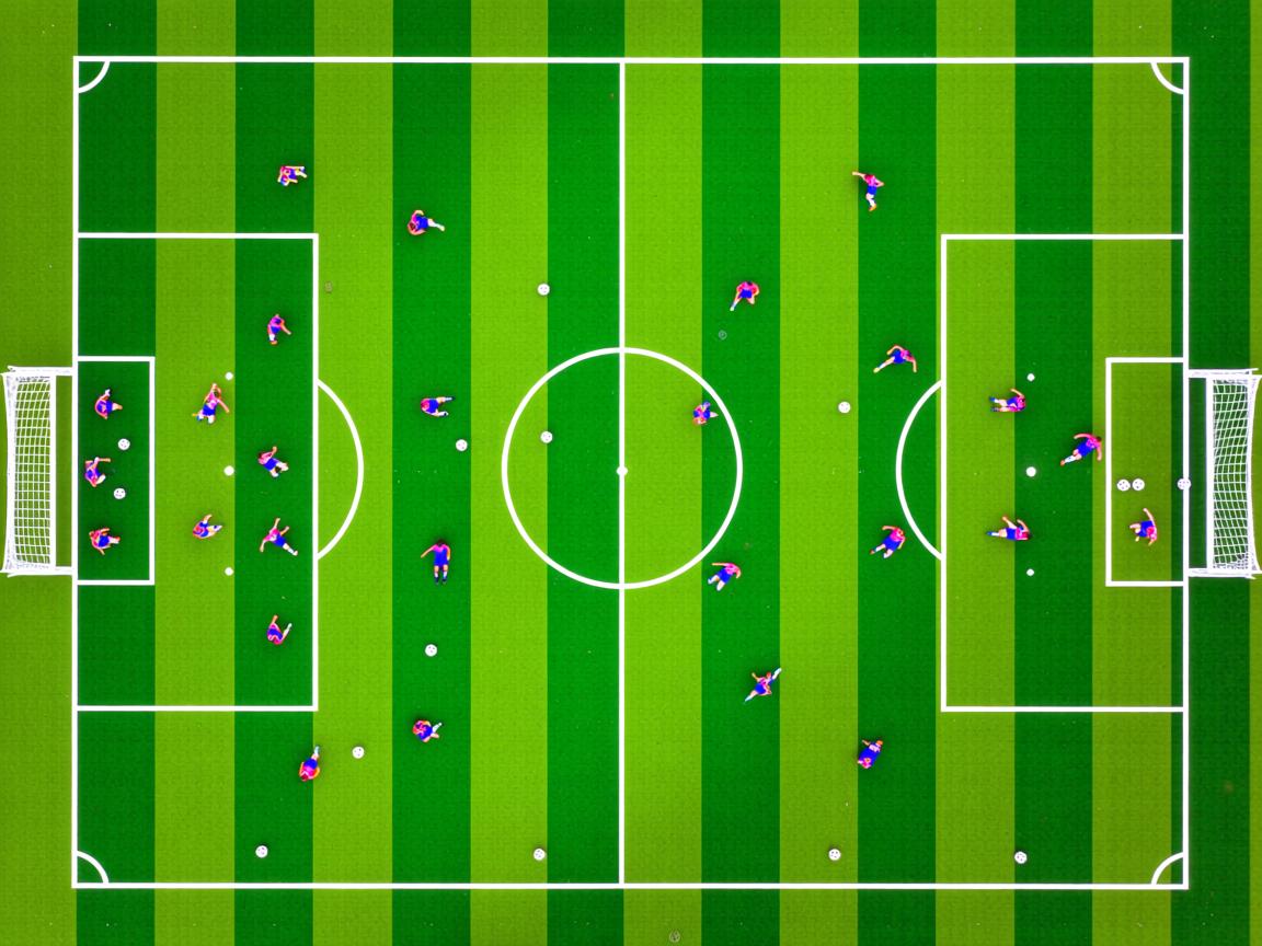 九游娱乐在线-体育新闻中心参与体育数据资产保护法律框架建设，体育数据库和信息平台  第1张