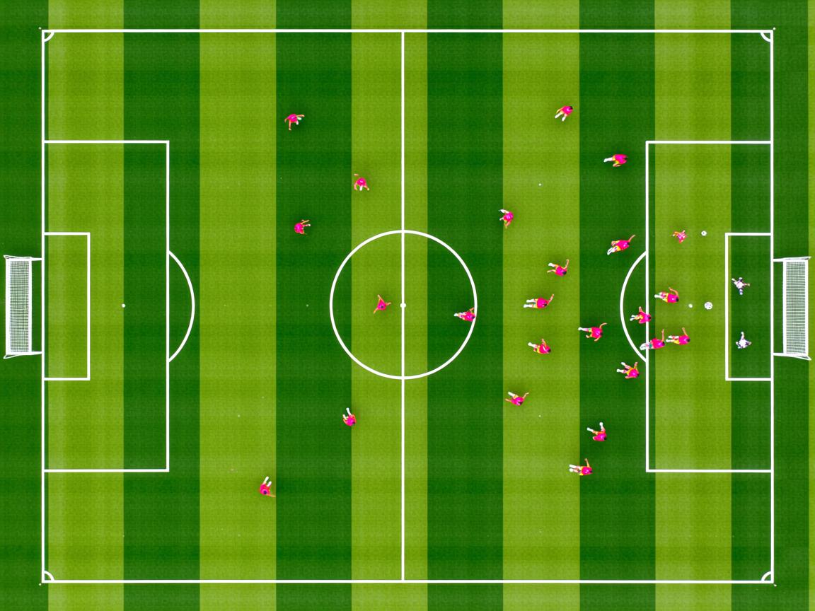 九游体育下载-体育新闻中心发布体育数字传播新趋势白皮书，体育数字化转型  第1张