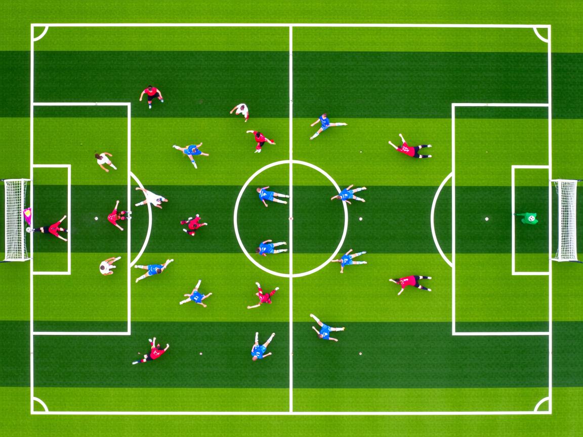 九游体育下载-国家女篮积极吸收留洋球员丰富战术体系，中国篮球球员留洋名单  第2张