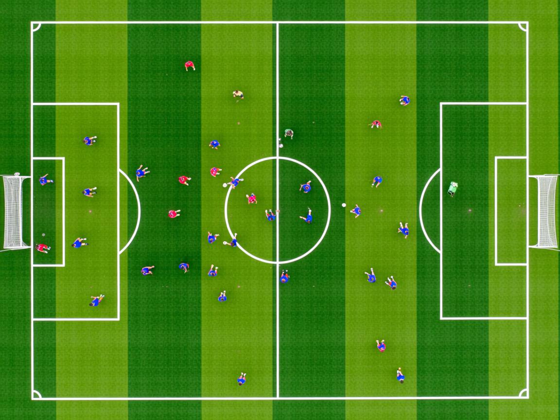 九游娱乐官方平台-大数据驱动运动员表现提升，问题_大数据驱动下的体育究竟是风险还是不确定事件  第3张