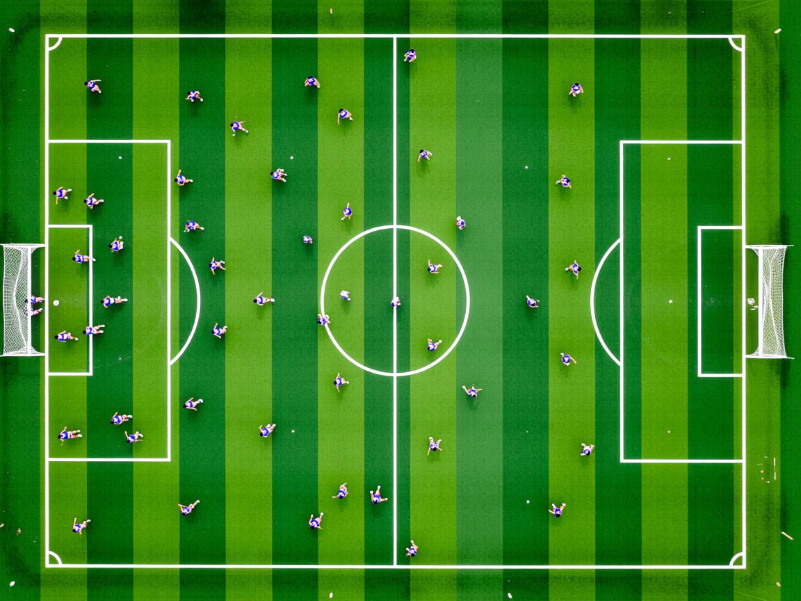 九游官网入口地址-女子蛙泳项目稳中有升，女子蛙泳视频