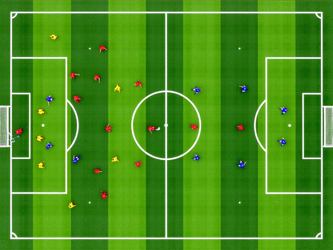 九游官网入口充值-搏击项目加入青少年多段位评级制度，青少年搏击比赛报名  第3张